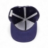 Liner image of the Owners Group Hat on white background